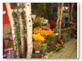 Schnittblumen: gro�e Auswahl - faire Preise