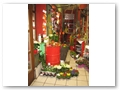 Schnittblumen: gro�e Auswahl - faire Preise